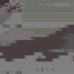 1699