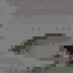 77