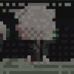 5251