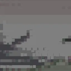 592