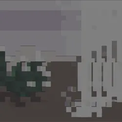 8049