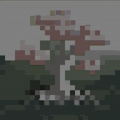 Punkscapes