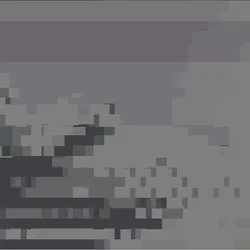 8446