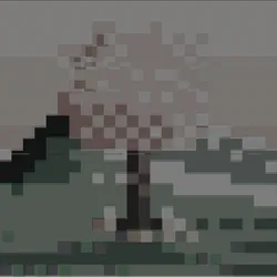 9158
