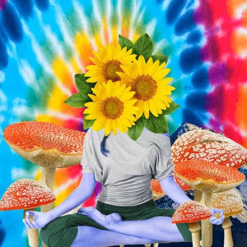 Masters Of Meditation