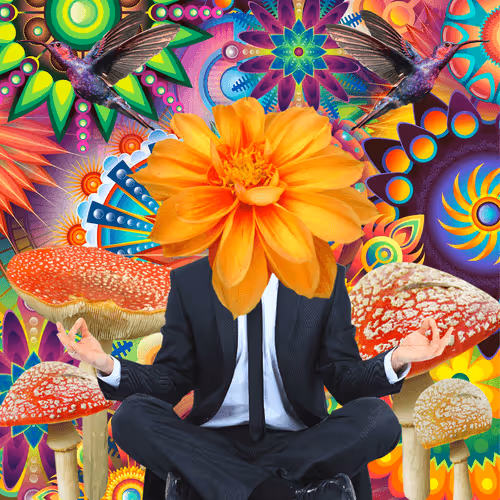 Masters Of Meditation