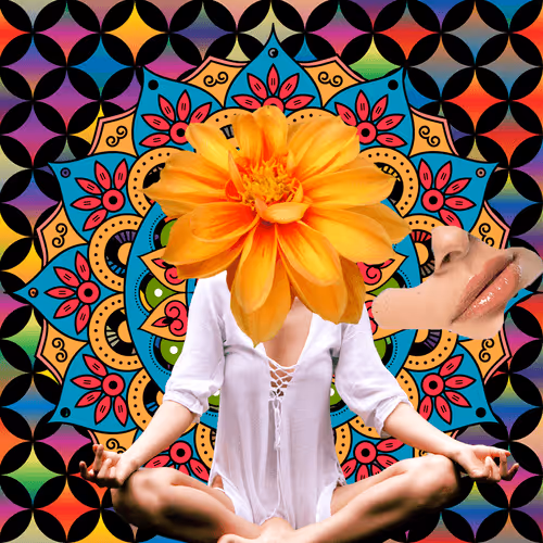 Masters Of Meditation