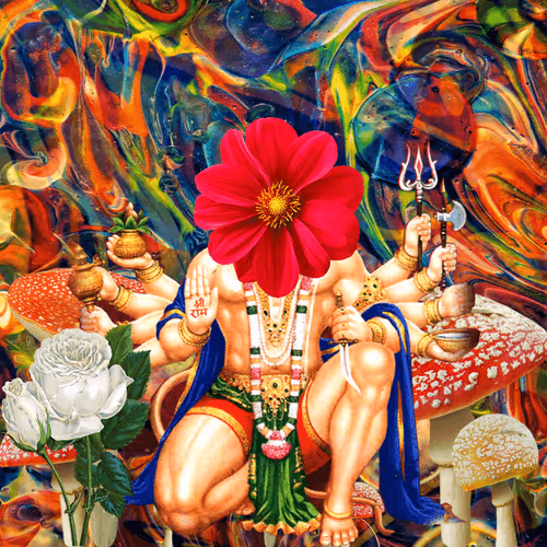 Masters Of Meditation