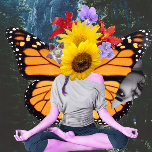 Masters Of Meditation
