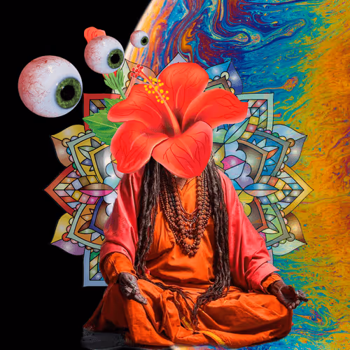 Masters Of Meditation