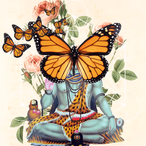 Masters Of Meditation