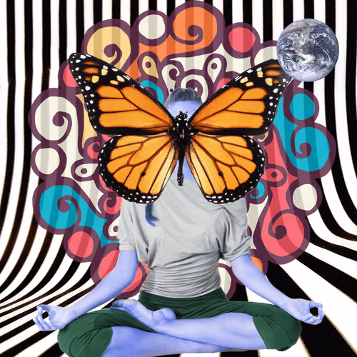 Masters Of Meditation