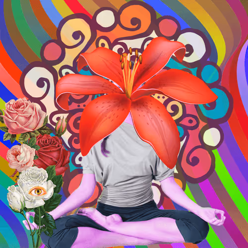 Masters Of Meditation