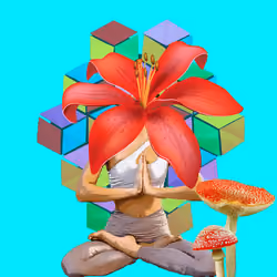 Guru #1604