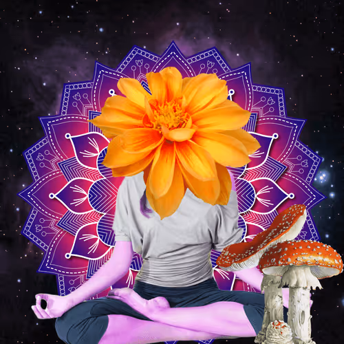 Masters Of Meditation