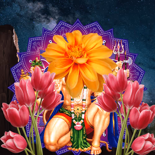 Masters Of Meditation