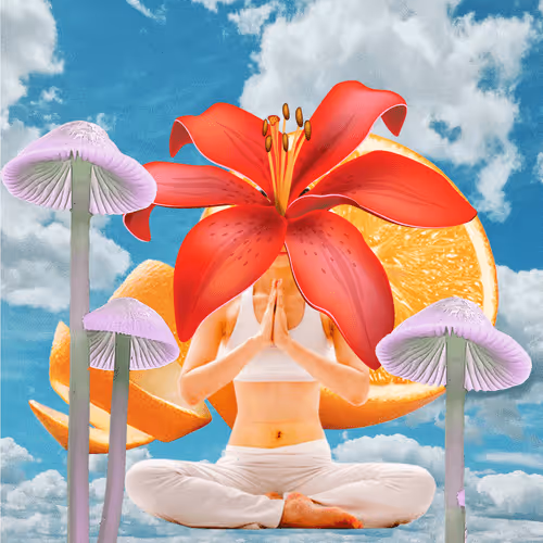 Masters Of Meditation