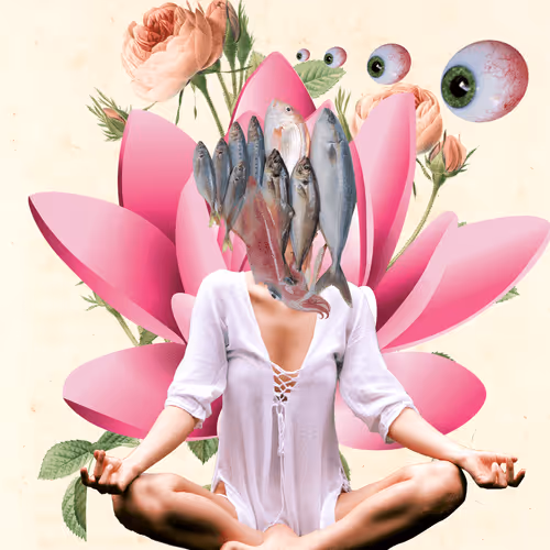 Masters Of Meditation