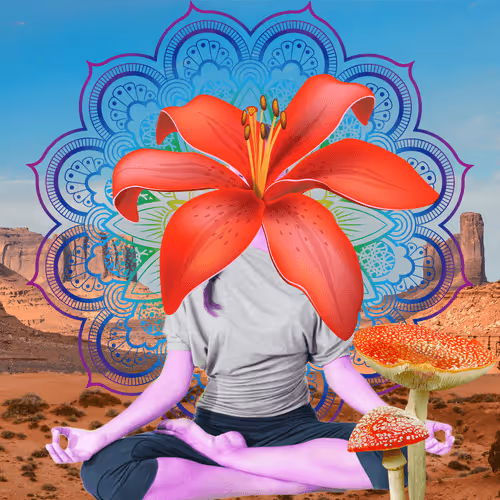 Masters Of Meditation