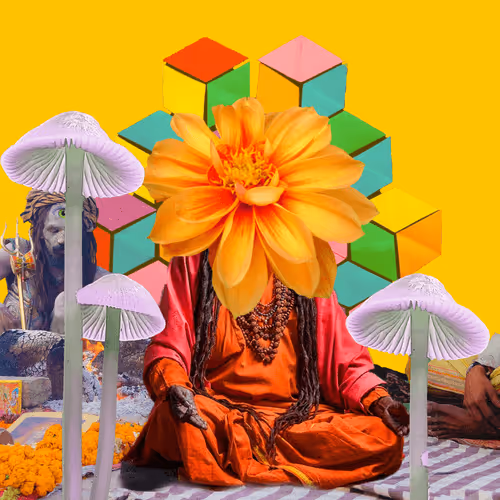 Masters Of Meditation