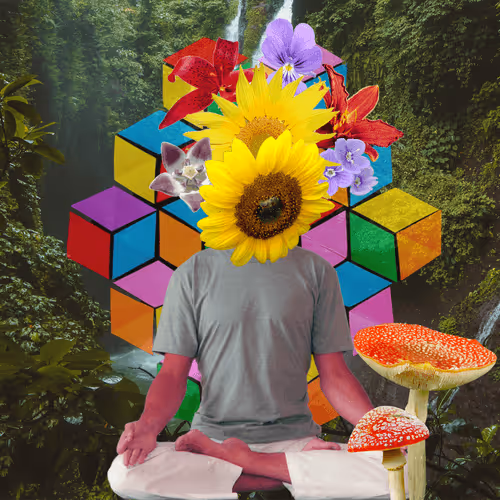 Masters Of Meditation