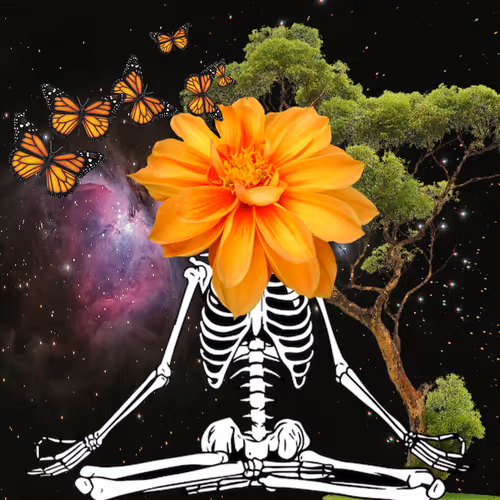 Masters Of Meditation
