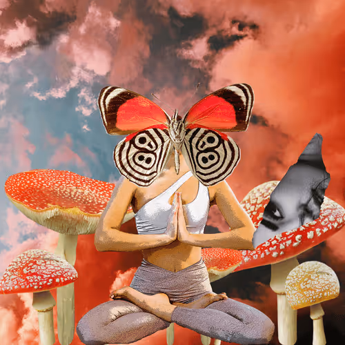 Masters Of Meditation