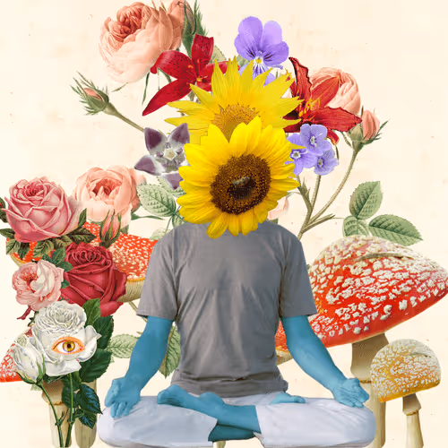 Masters Of Meditation