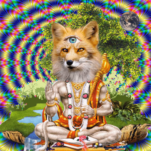 Masters Of Meditation