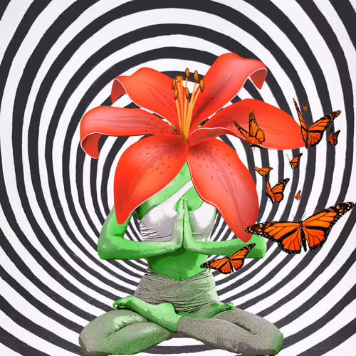 Masters Of Meditation