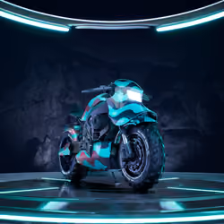 Moto #1343