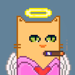Hot Cat #74