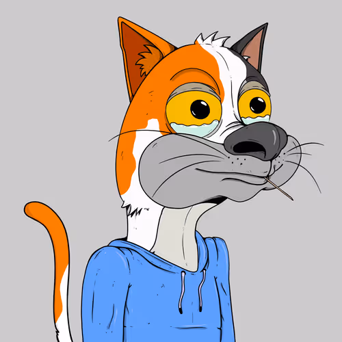 Bad Cats Gang