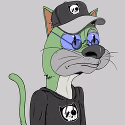 Bad Cat #2700