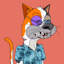 Bad Cat #2703