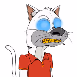 Bad Cat #469