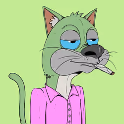 Bad Cat #2863