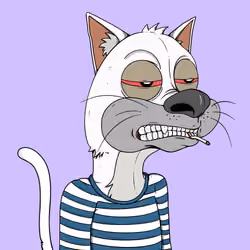 Bad Cat #2973