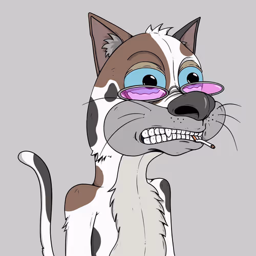 Bad Cats Gang