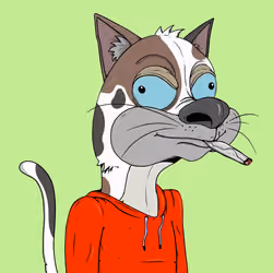 Bad Cat #3977