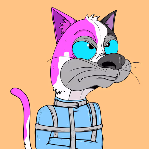 Bad Cats Gang