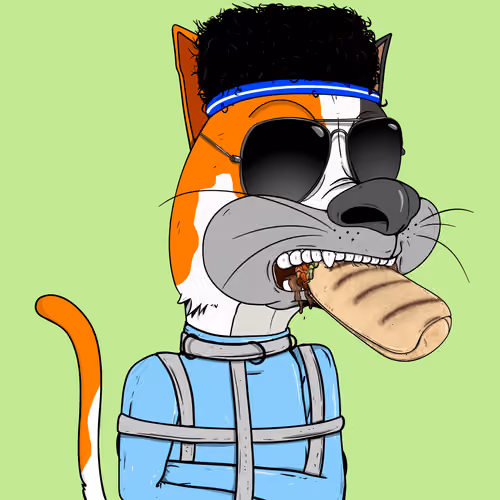 Bad Cat #2672