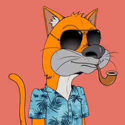 Bad Cat #972