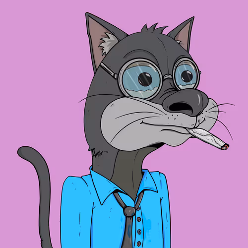 Bad Cats Gang