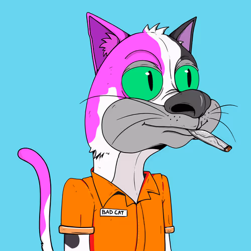 Bad Cats Gang