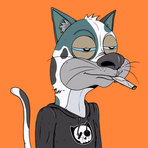 Bad Cats Gang