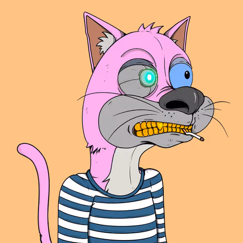 Bad Cat #2739