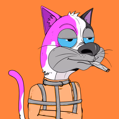 Bad Cat #3498