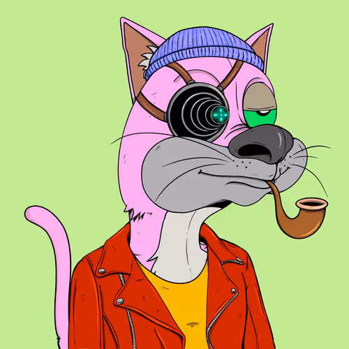 Bad Cats Gang