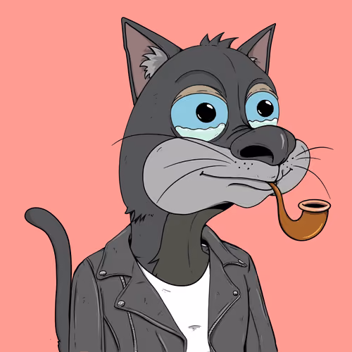 Bad Cat #3991